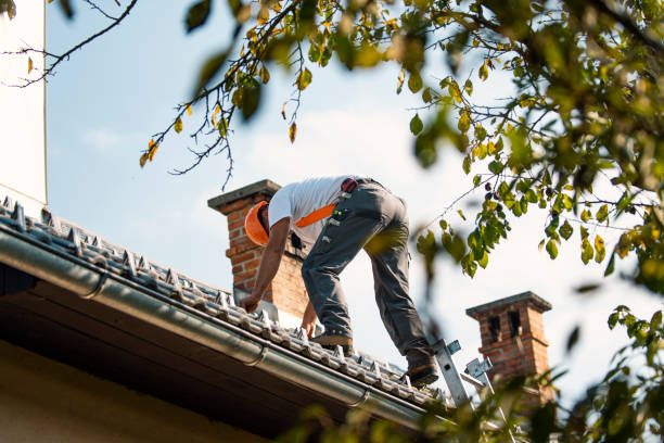 Best Roof Leak Repair  in Bristol, TN