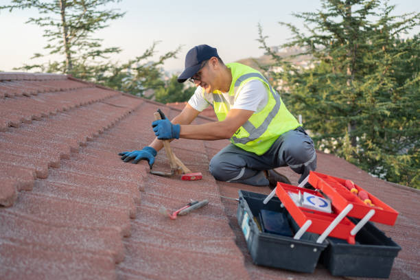 Best New Roof Installation  in Bristol, TN